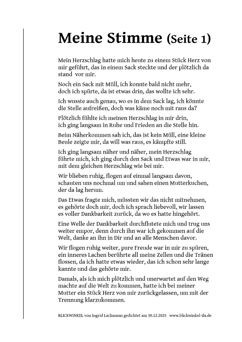 Meine Stimme