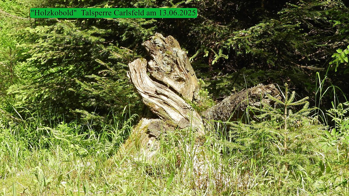 Imaginäre Tiere und Wesen mit Videos